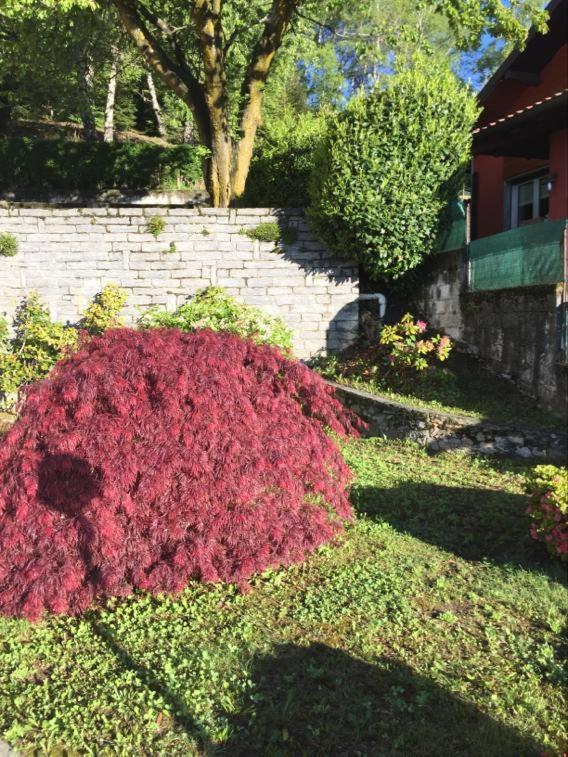Villa Assunta Premeno Buitenkant foto